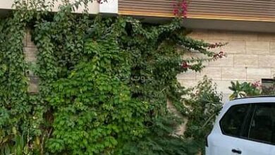 حي حطين مقابل مسرح محمد عبدو – 87809844