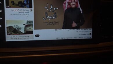 للبيع شاشة GL كيا ريو 19-24