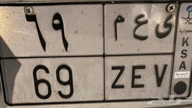 لوحة مميزه للبيع