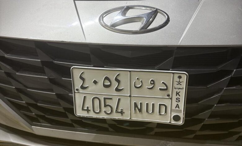 لوحه للبيع د و ن 4054