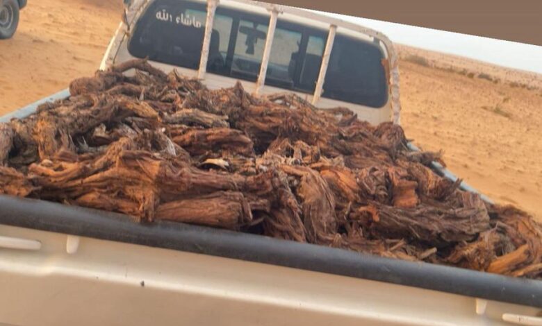 يتوفر بكرا مسح حوض نفس هذا