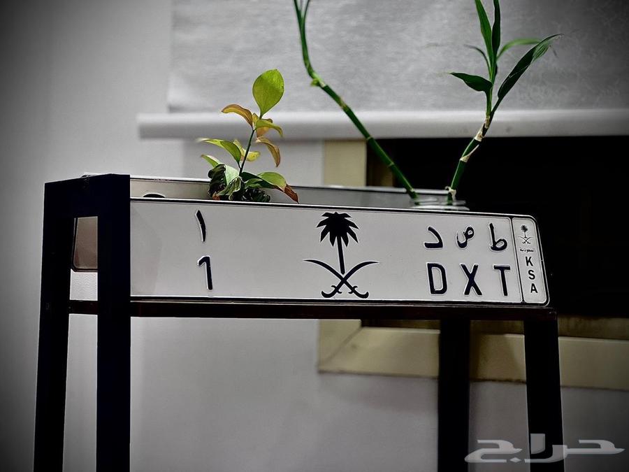 لوحات مميزه