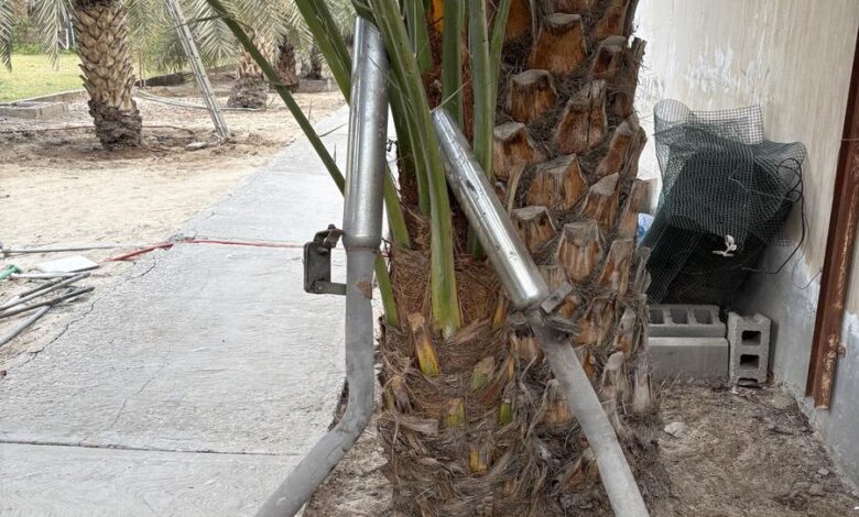 دبة بولت مع صواريخ