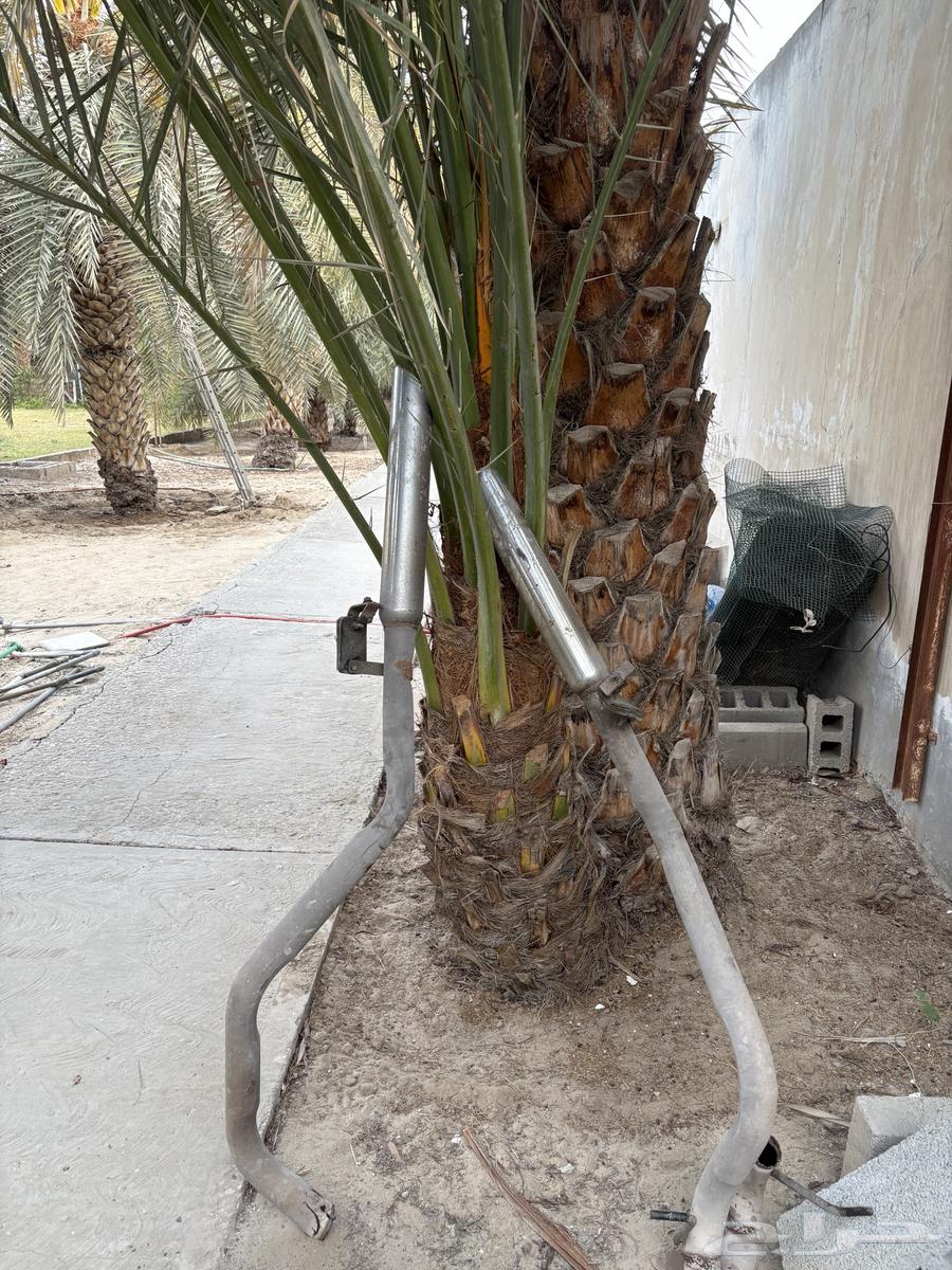 دبة بولت مع صواريخ