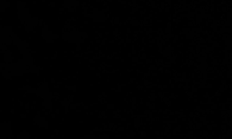 مطلوب كامري 11