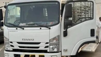 دينه دينا جامبو كبير سته ونص ارتفاع مترين
