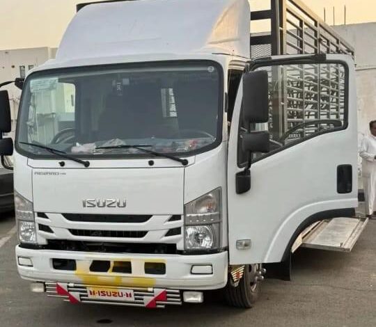 دينه دينا جامبو كبير سته ونص ارتفاع مترين