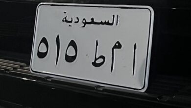 لوحة 515