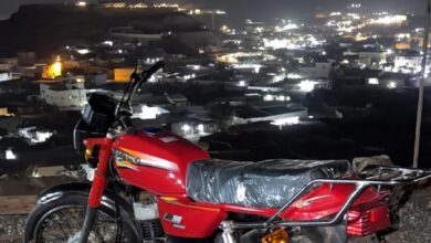 جدة السنابل