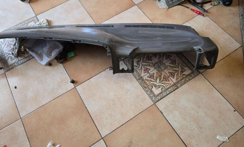 قشرة طبلون جمس