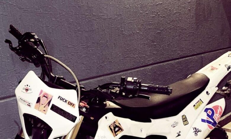 صحراوي الوسام 250 مع اللوحه