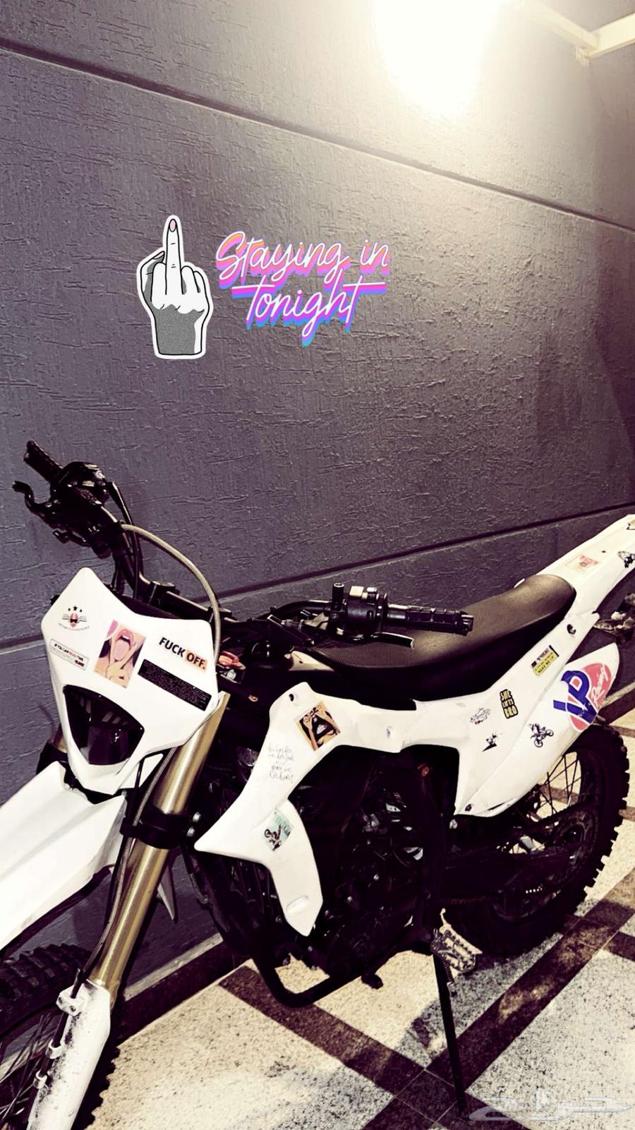 صحراوي الوسام 250 مع اللوحه