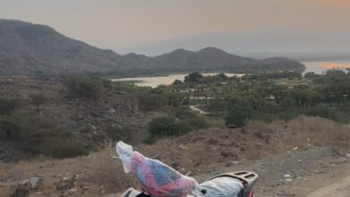 دباب بطه للبيع استخدام اقل من شهر بورقه جمركيه الدباب نظيف