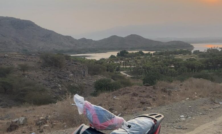 دباب بطه للبيع استخدام اقل من شهر بورقه جمركيه الدباب نظيف