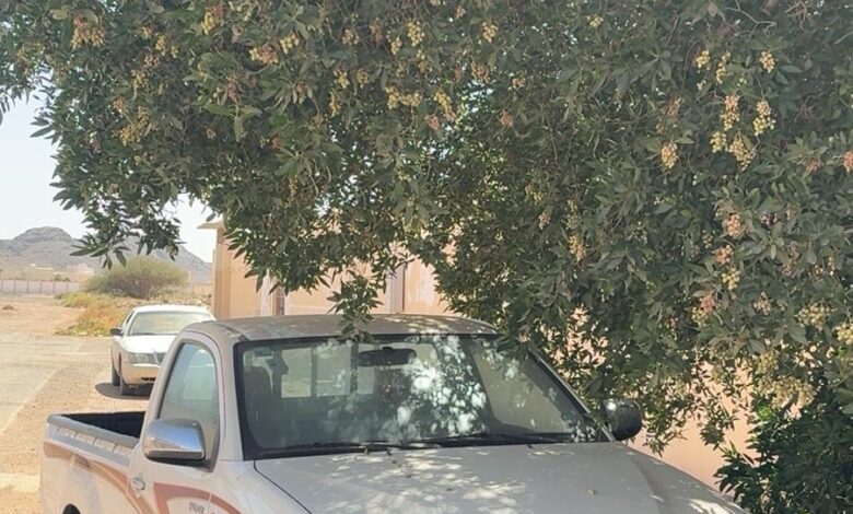 هايلكس 2014