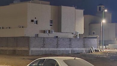 مرسيدس فياقرا s320