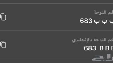 لوحة مميزة