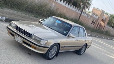 كرسيدا 1993