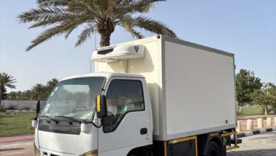 دينه ثلاجه شفرولية