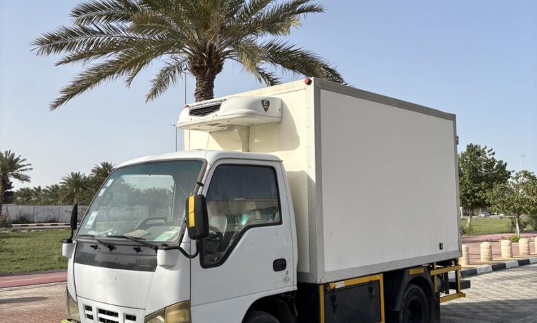 دينه ثلاجه شفرولية