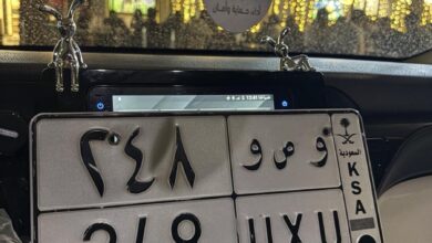 لوحة مميزه بحروف متكرره ومعنى رمز 248