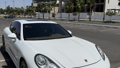 باناميرا 2013 S