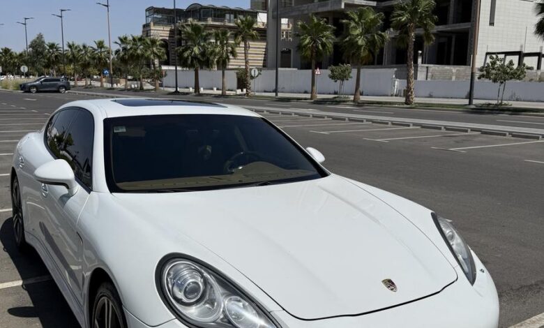 باناميرا 2013 S