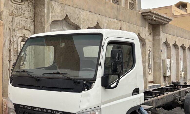 دينا مستوبيشي 2005