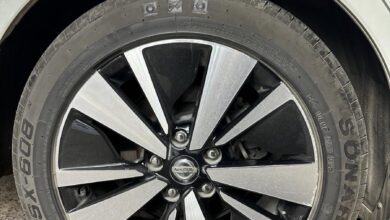 جنوط التيما