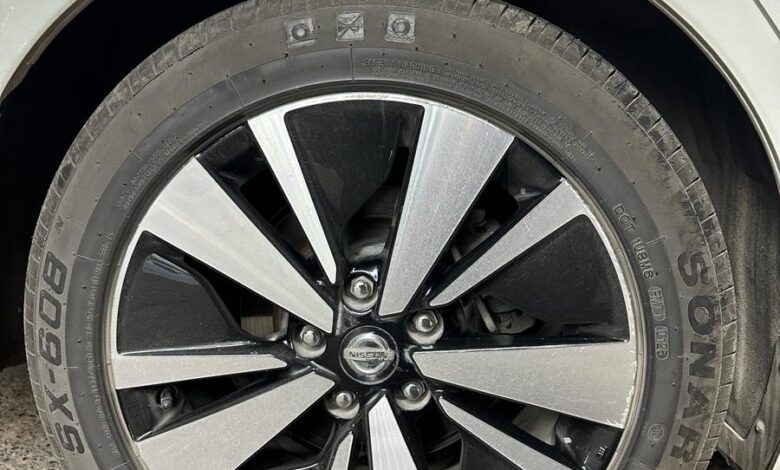 جنوط التيما