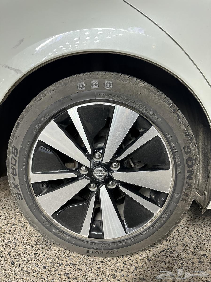 جنوط التيما