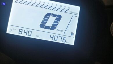 دباب عجيب فينكس