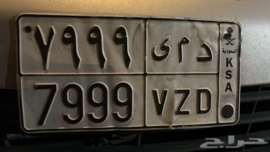 لوحة د م ى 7999