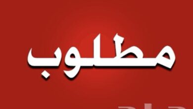 مطلوب مطلووب مطلوووب لوحة نقل خاص بسعر معقول