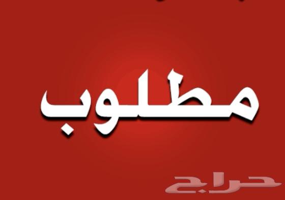 مطلوب مطلووب مطلوووب لوحة نقل خاص بسعر معقول