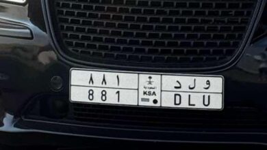 لوحه ( ولد 881 ) للبيع