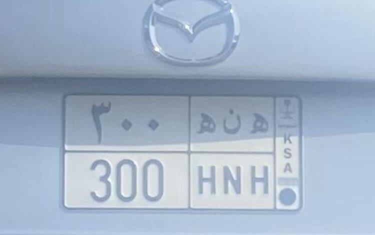 لوحه مميزه للبيع ه ن ه 300