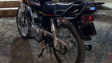 دباب ام تايقر الاصلي مع لوحته