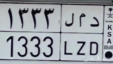 للبيع لوحه مميزه