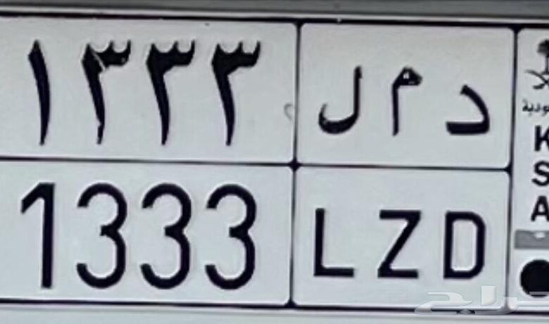 للبيع لوحه مميزه