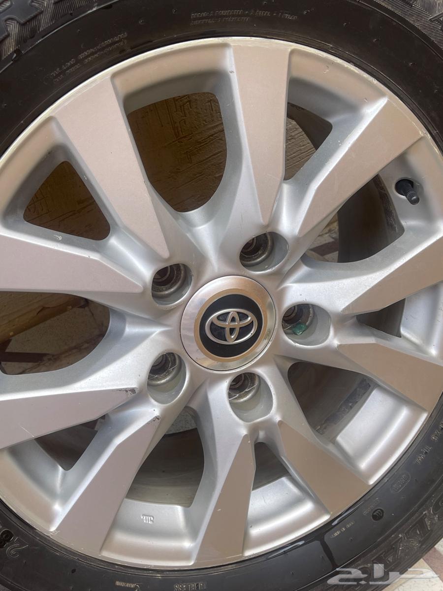 جنوط لاندكروزر