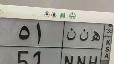 لوحة مميزة ثنائي مكرر