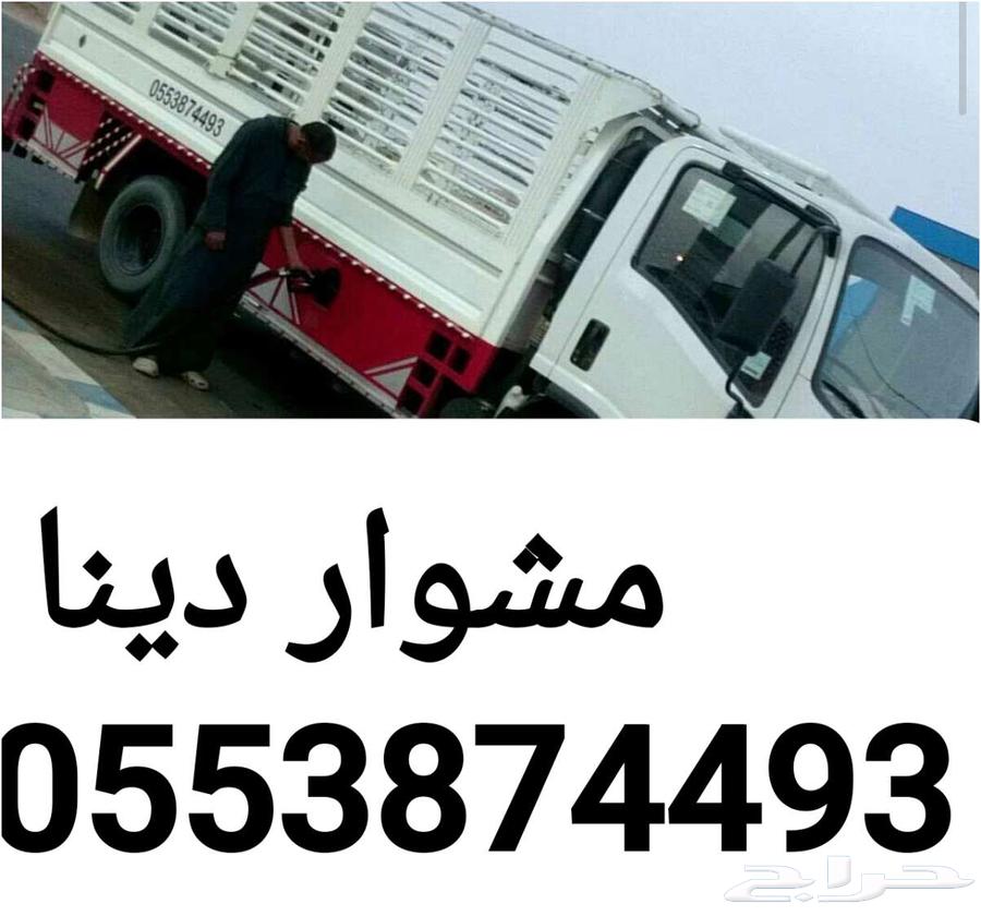 مشوار دينا الزلفي رياض القصيم بريده