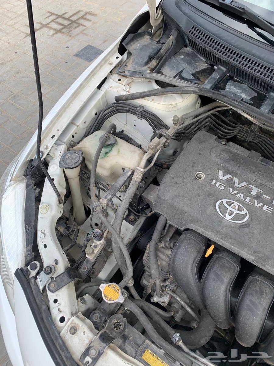 تايوتا كوريلا 2010