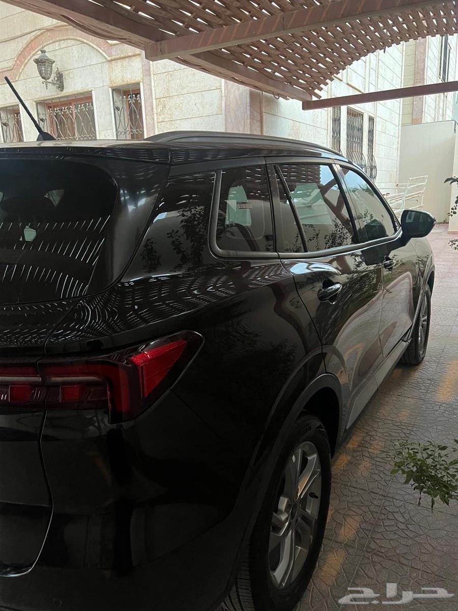 تيريتوري للبيع 2025