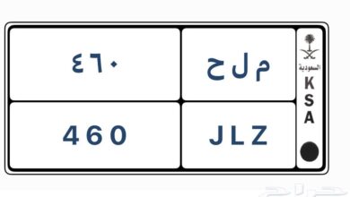 لوحة خصوصي للبيع