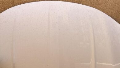 كبوت تشارجر