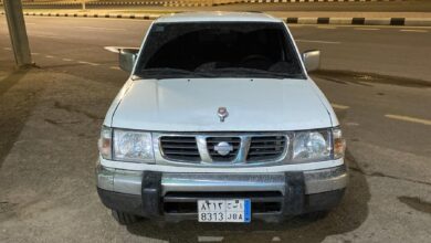 ددسن 2004 نظيفه