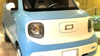 للبيع فاو ميني بيستون Mini EV ماشي (400 كيلو)