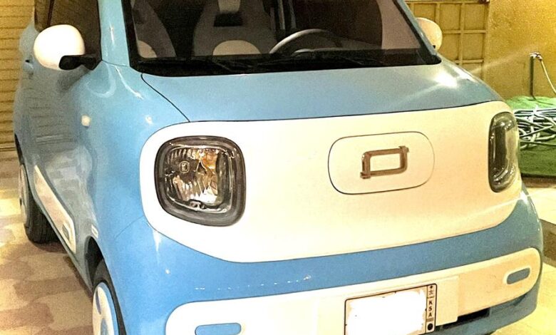 للبيع فاو ميني بيستون Mini EV ماشي (400 كيلو)